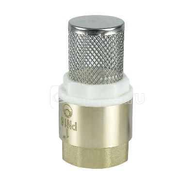 Клапан обратный с фильтром 1дюйм (80/10) К VALFEX VF.161.NS.100