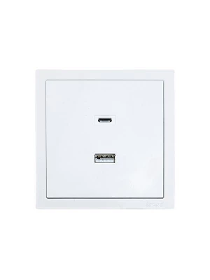 Розетка Type-C+ USB разъем СП ZIMA IP20 бел. LEZARD 704-0288-192TC