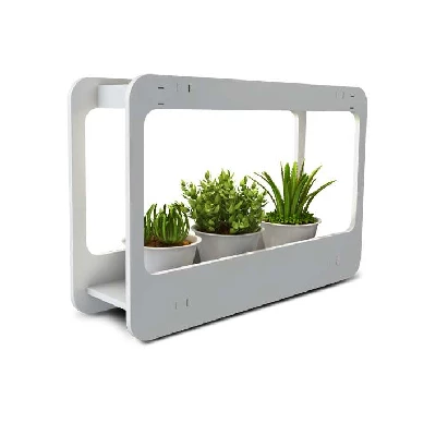 Подставка-светильник PMG 002 LED 14Вт 4000К для растений JazzWay 5009554