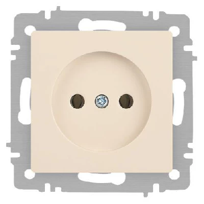 Розетка 1-м СП Accent 6-201-02 16А IP20 250В 2P сл. кость Intro Б0063659