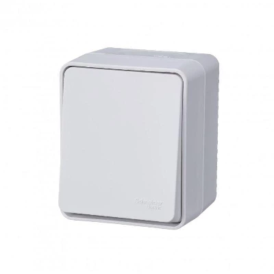 Переключатель проходной 1-кл. ОП AtlasDesign PROFI IP54 10AX бел. SE ATN540161