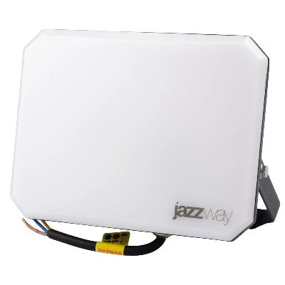 Прожектор светодиодный PFL-SA 100Вт 6500К IP65 OPAL СДО JazzWay 5065932