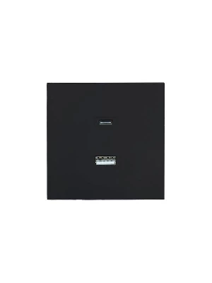 Розетка Type-C+ USB разъем СП ZIMA IP20 черн. бархат LEZARD 704-4288-192TC