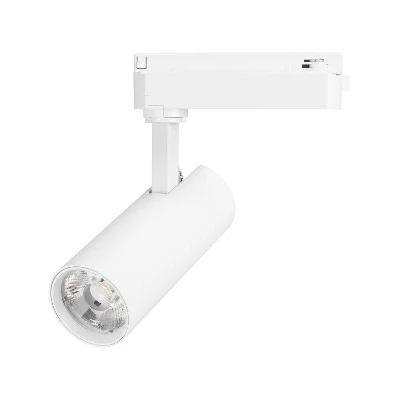 Светильник светодиодный LGD-GERA-2TR-R55-10W Day4000 WH 24deg 230В IP20 10Вт 4000К метал. Arlight 055035